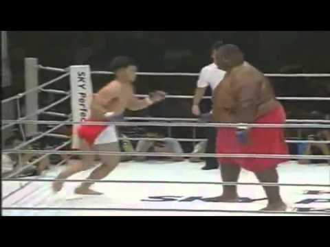 Sumo vs MMA