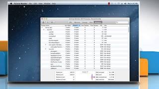 How to use the Activity Monitor in Mac® OS X™