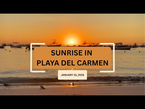 Sunrise at Coco Beach, Playa del Carmen 🌅 | Ocean Waves, Birds & Morning Ambience (25 Min) 01/15/26
