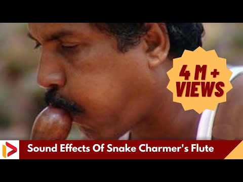 Sound Effects Of Snake Charmer's Flute | Music of Makudi | Snake Music
