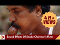 Sound Effects Of Snake Charmer S Flute Music Of Makudi Snake Music
