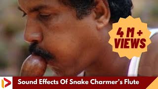 Sound Effects Of Snake Charmers Flute  Music of Ma