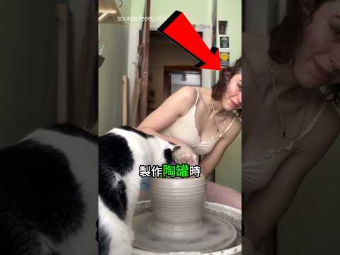 貓咪「幫忙」做陶罐，超萌亂入瞬間！🐈❤️