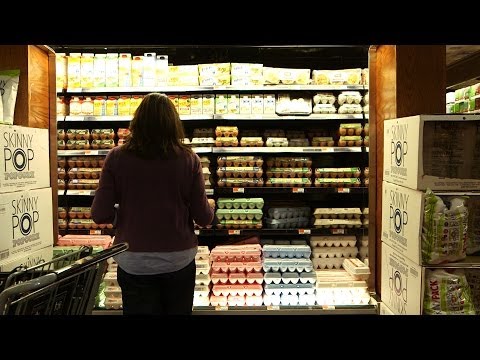 Eggs: Which to Buy? | Consumer Reports