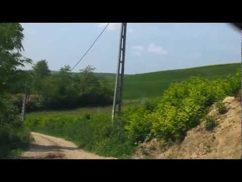 Zau de Campie - de la Padurea Zaului in sat