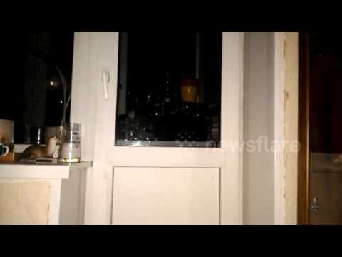 Cat demands to be let in the house by jumping really high to get owner's attention