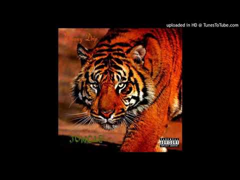 Drewwy Drip - Jungle ( prod by tennell )