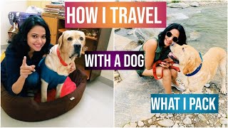 How I Prepare for Road Trip with my Dog, Packing, Food and fun