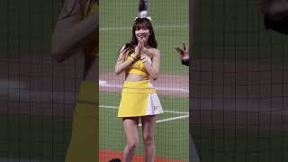 【台湾チア】哈 哈哈 哈哈哈哈！台灣英雄　台灣英雄　林安可 冼迪琦 小迪2024 #明星賽