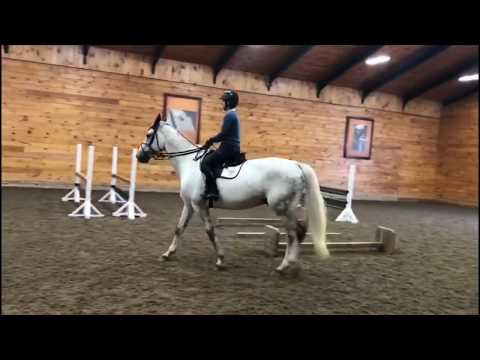 The Madden Method - Gymnastics at Home