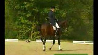 Video of Caprimond