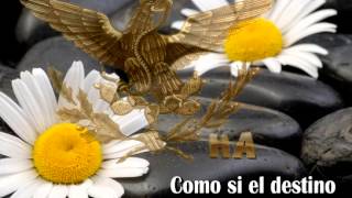 COMO SI EL DESTINO - Francisco Céspedes