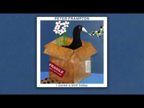 Video thumbnail for I Saved a Bird Today