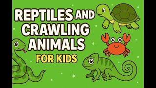 Reptiles and Crawling Animals for Kids | 20 Reptiles & Crawling Creatures With Sounds & Videos 🐍🦎🐢
