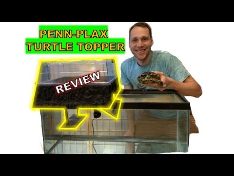 LLYT Favorite?! Penn Plax Turtle-Topper Above-Tank Basking Platform Assembled and Reviewed