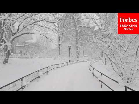Blizzard Leaves New York City's Central Park Under Thick Blanket Of Snow