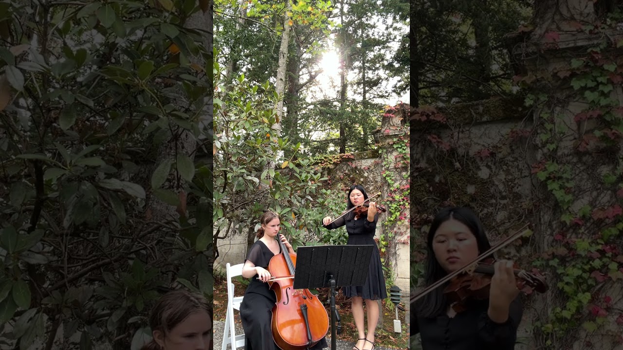 Promotional video thumbnail 3 for Classical violin and pop performances