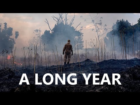 YouTube video about: How long is a year?