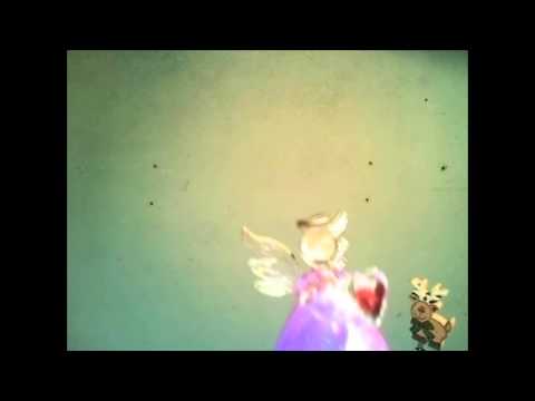 sünnipäeva õnnitlus