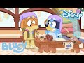 Bluey | Het Kabouterdorp | Disney Channel NL