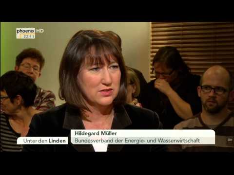 Die Energiewende im Sturm der Interessen - Unter den Linden vom 04.11.2013