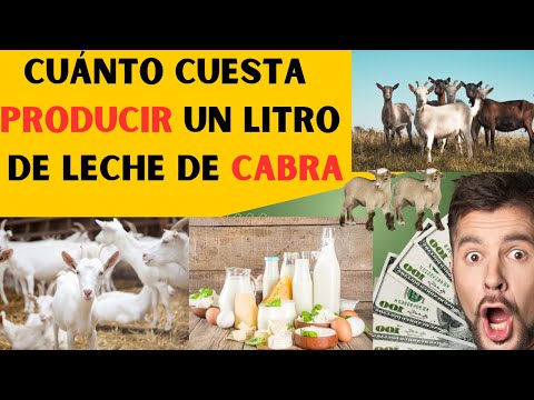 , title : '¿Cuánto cuesta producir un litro de leche de cabra [las mejores razas lecheras]'