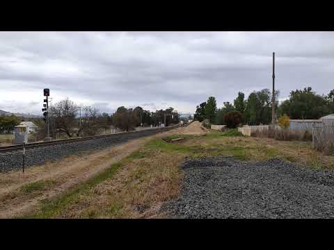 8165 DL43 Pacific National empty grain train at Quirindi NSW