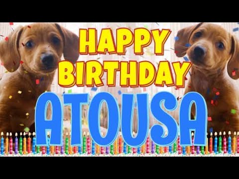 Happy Birthday Atousa! ( Funny Talking Dogs ) What Is Free On My Birthday