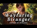 Wayfaring Stranger || The Last Of Us Cover by Reinaeiry