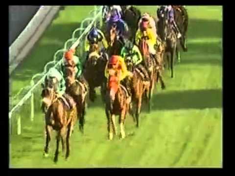 Perfect Circle -1st win - Racing Association