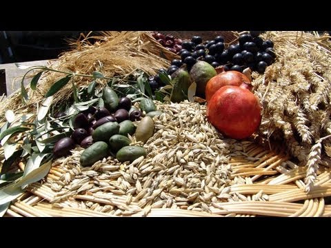 Ein faszinierender Einblick in Gottes Plan