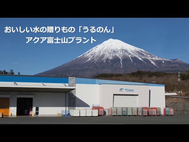 Youtube動画
