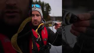 Download lagu Strike Pro Guppie🔥#catchwithcare #fishing #pike #strikeproguppie mp3 Download lagu Strike Pro Guppie🔥#catchwithcare #fishing #pike #strikeproguppie mp3