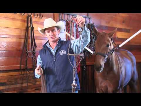 Bits for bolting horses