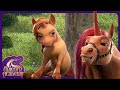 Unicorn Academy Cinder Was So Cute As A Baby Kids Movies