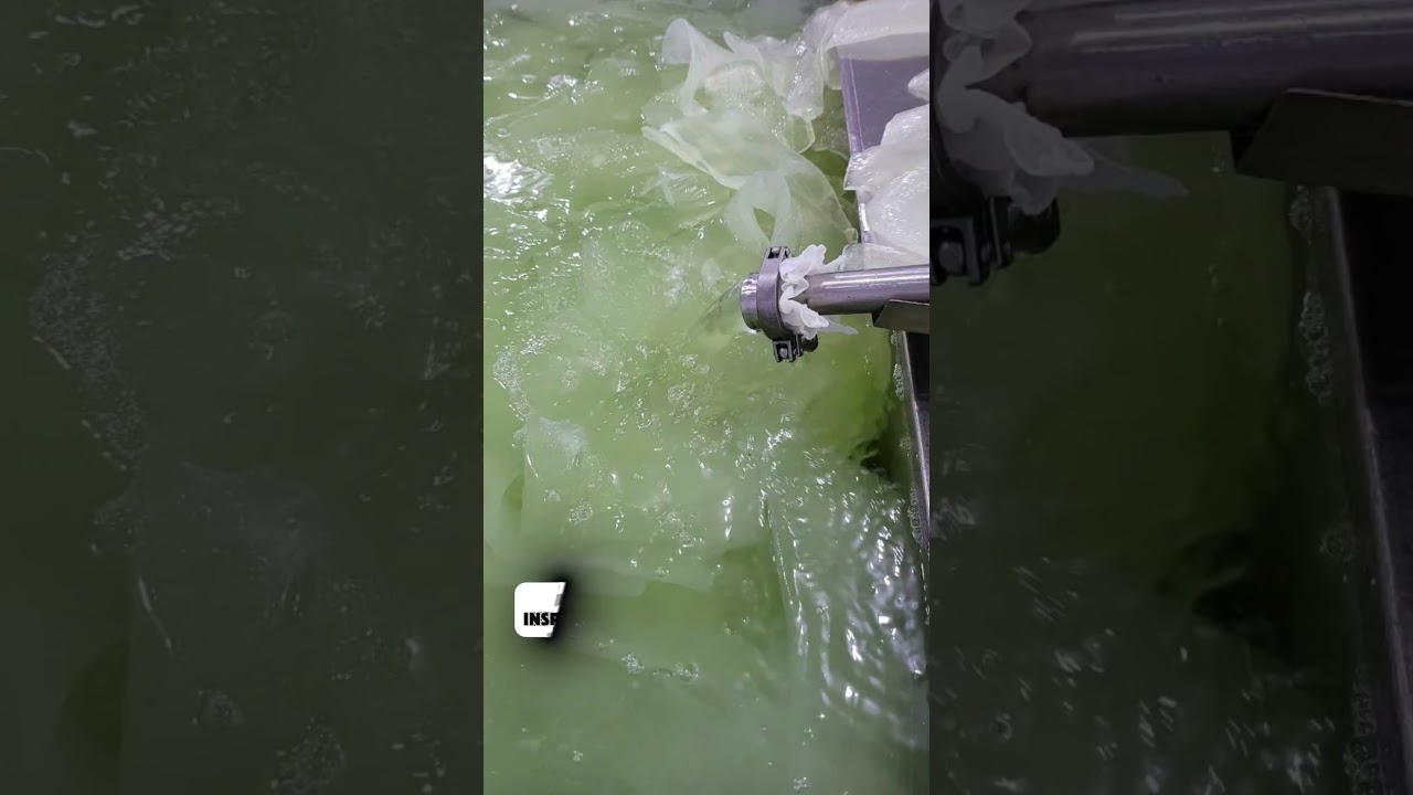 The production process of Goce Aloe Vera 