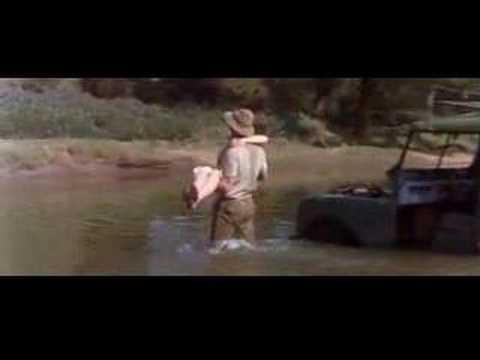 Gods Must Be Crazy - Land Rover - Part 2