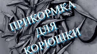 Прикормка для наваги зимой владивосток