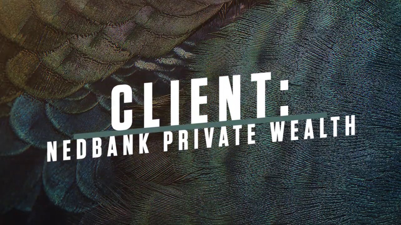 Nedbank Pirate Wealth App