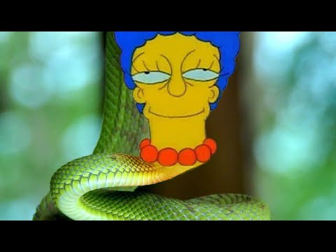 SnakeMarge. Marge Stage. Theme.       Simpson  [FLASHING IMAGE WARNING]