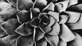 Manu Crooks - Fuego Feat. Anfa Rose