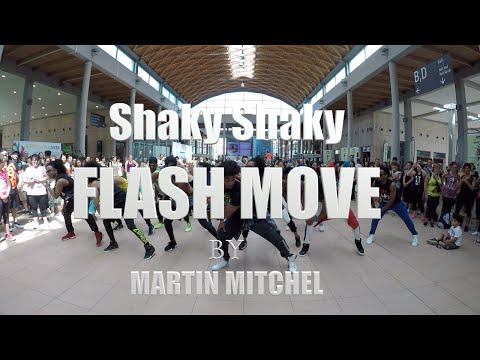 Daddy Yankee - Shaky Shaky Flash Move By Martin Mitchel