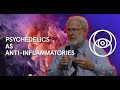 Psychedelics As Anti Inflammatories The Neuroscience Of Psychedelics W Dr David E Nichols