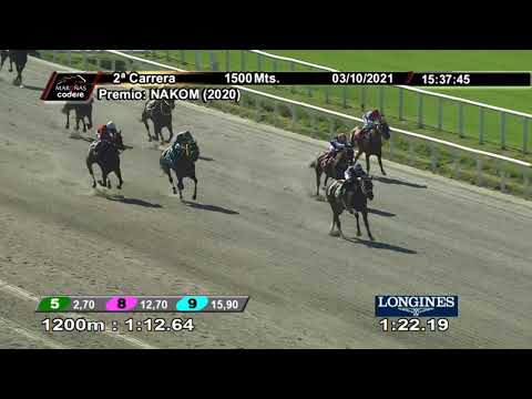 211003 c02 IMBATIKOVIC (BRZ)