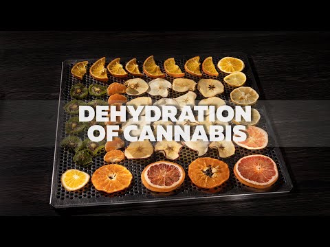 The Game Changer In Dehydration: Update On EnWave Corporation