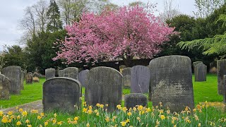 Alnwick live history walk