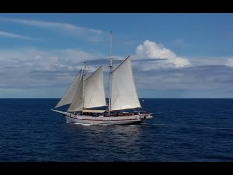 Emperor Divers Indonesia Liveaboards video