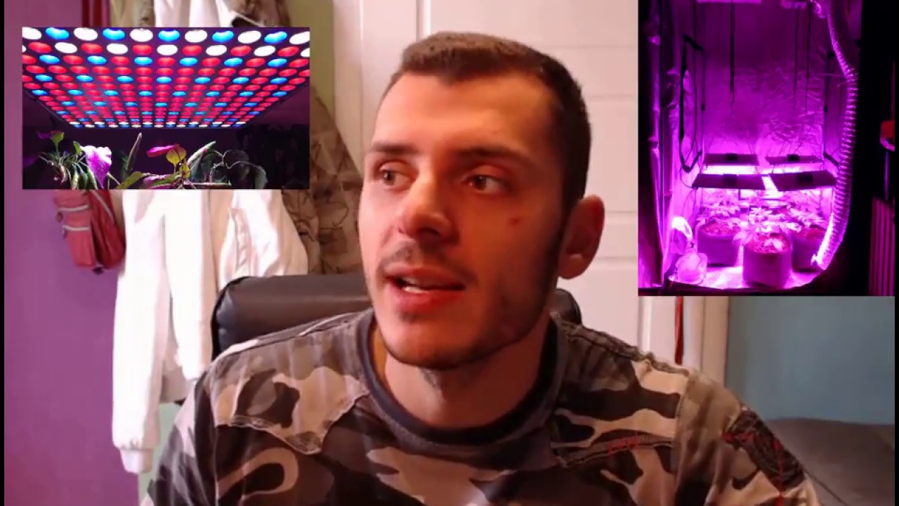 Culture Indoor LED Avantage Inconvénient