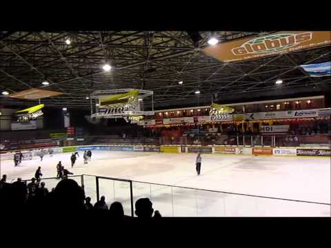 MEC Halle 04 SAALE BULLS - Rostock Piranhas