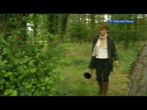 GLD Nieuws 5 augustus 2010 - Nieuws